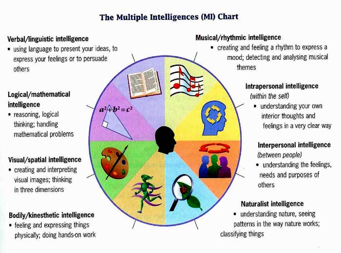 This multiple intelligences chart represents a variety of talents and skills that can make a person successful and appreciated