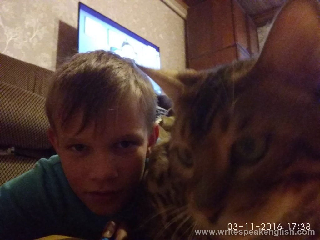 my cat