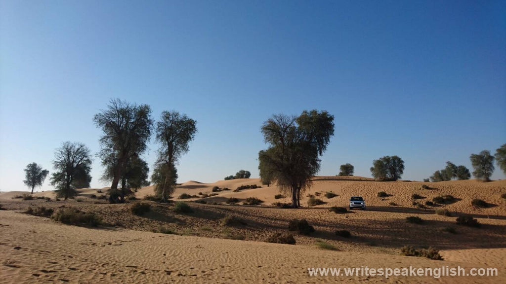 The amaizing desert.